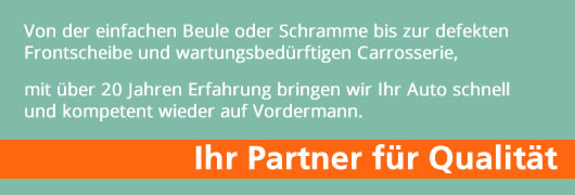 partner-vsci